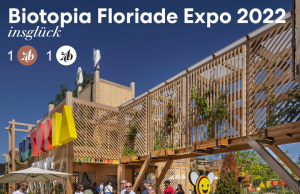 insglück erfolgreich beim ADC-Wettbewerb: Auszeichnungen für BIOTOPIA und Nachwuchstalent