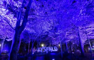 NETRON-Nodes verwalten erfolgreich die facettenreiche Lichtshow „Lysfald“ im dänischen Fårup Sommerland