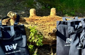 Motivation gesteigert und Teamgeist gefördert