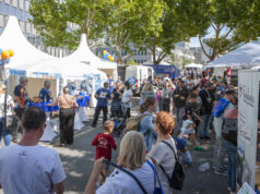 ctc events realisierte Jubiläumsfest der ESWE Verkehrsgesellschaft