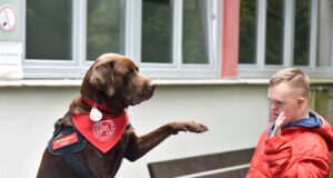 SCHACHZUG unterstützt tiergestützte Therapie im Uniklinikum Erlangen